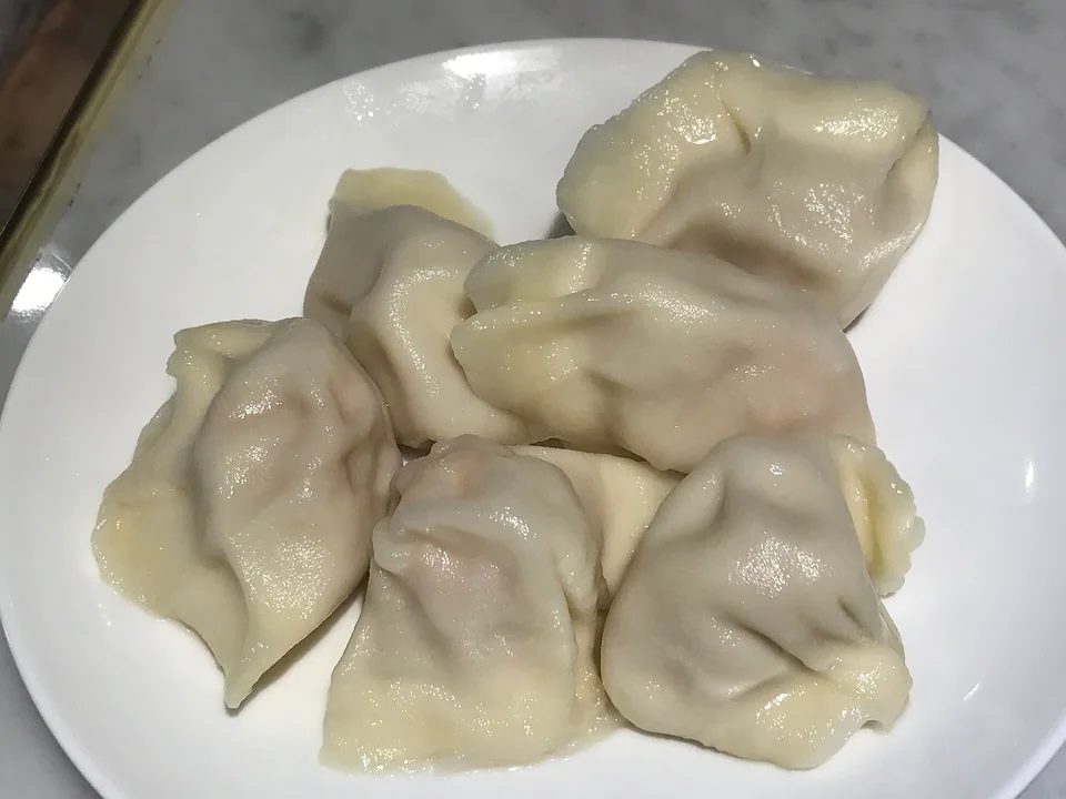 白い皿に盛った、皮がなめらかでわずかに透けるふっくらした水餃子